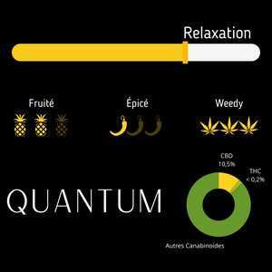 Quantum